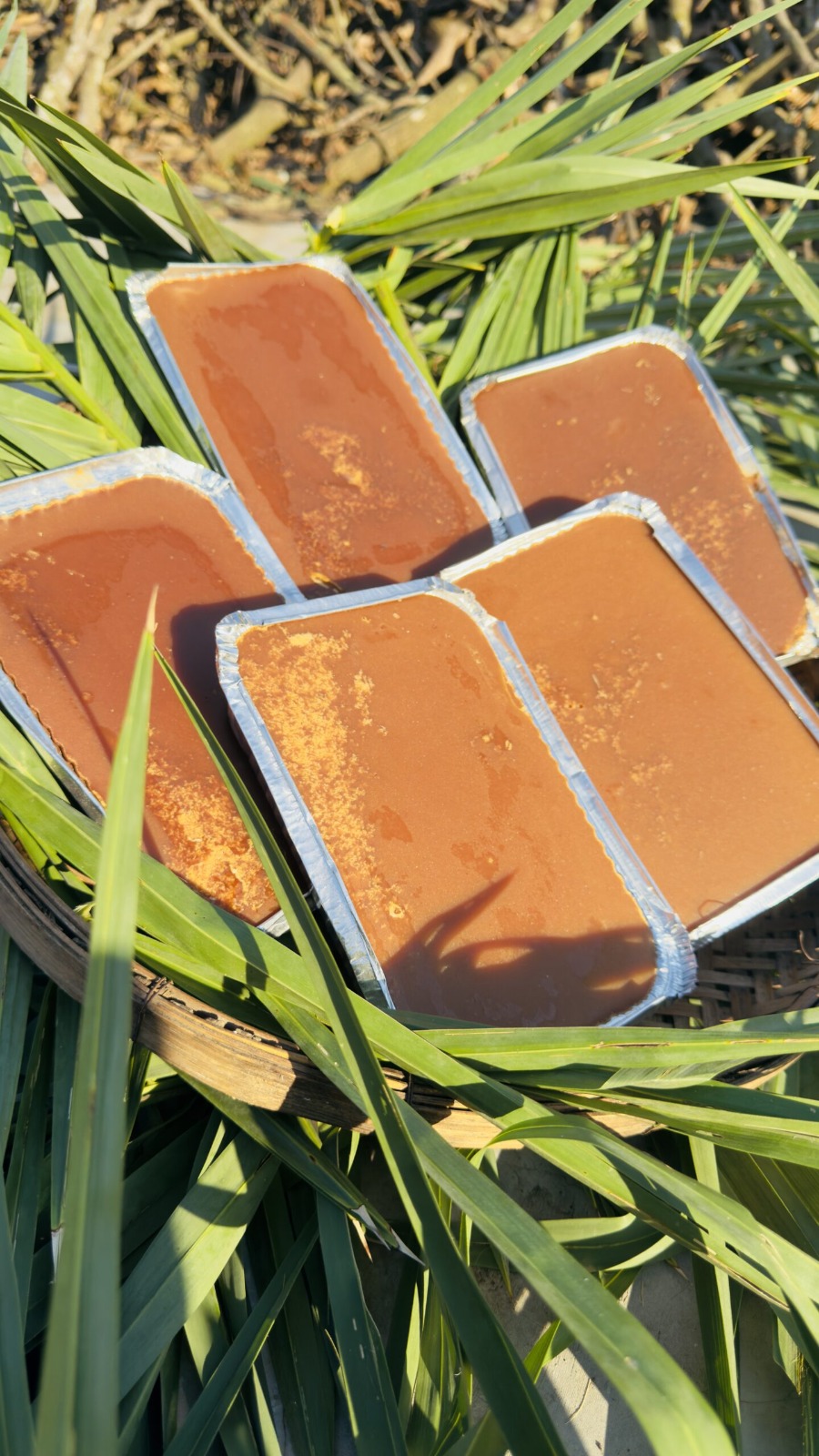 WhatsApp Image 2026-01-08 at 11.17.14 AM ফয়েল পাটালি গুড় - Image 1